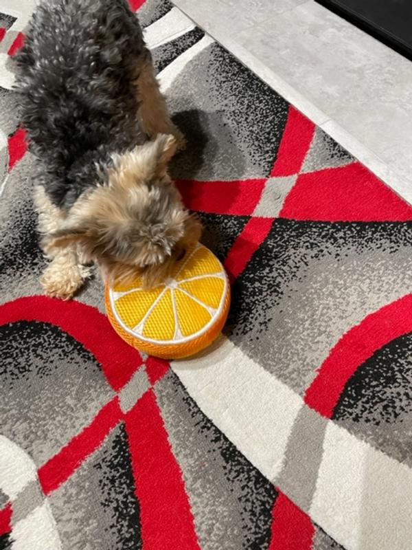 He LOVES playing with his "orange"!