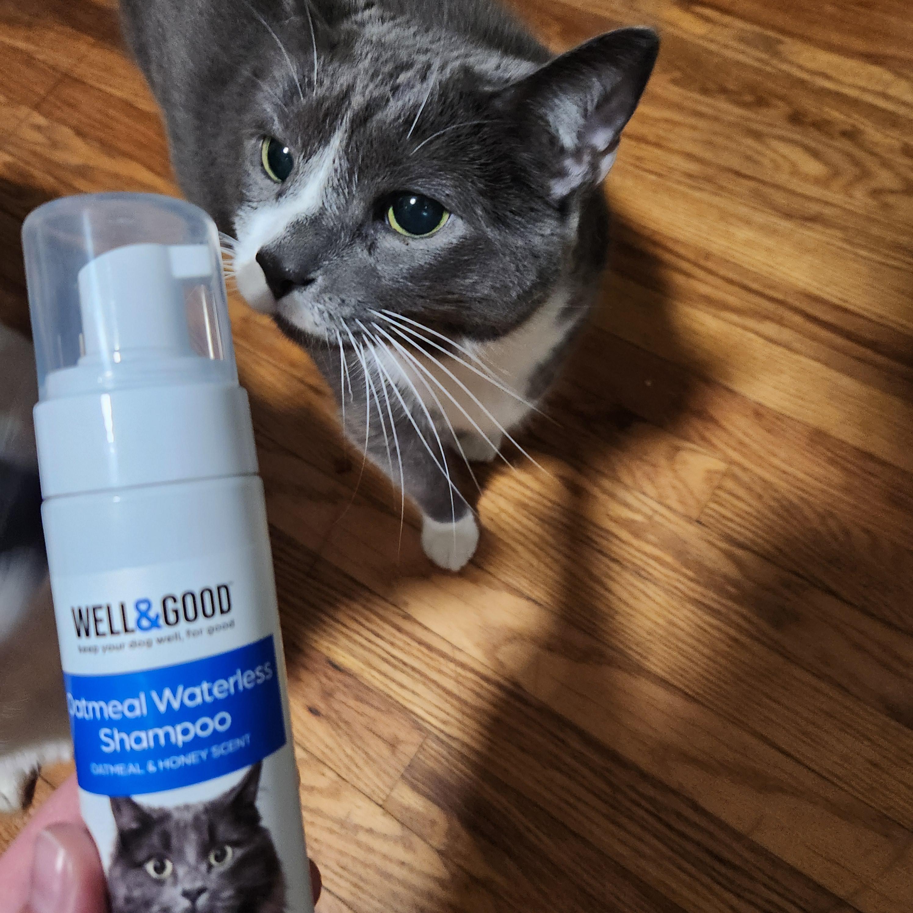 Petco waterless cat shampoo hotsell