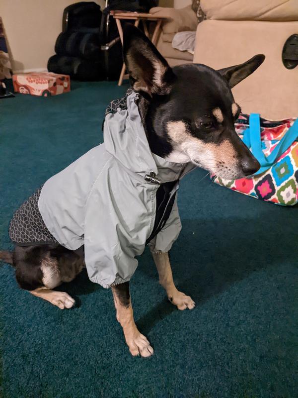 Reflective LV Raincoat With Hood For Dogs