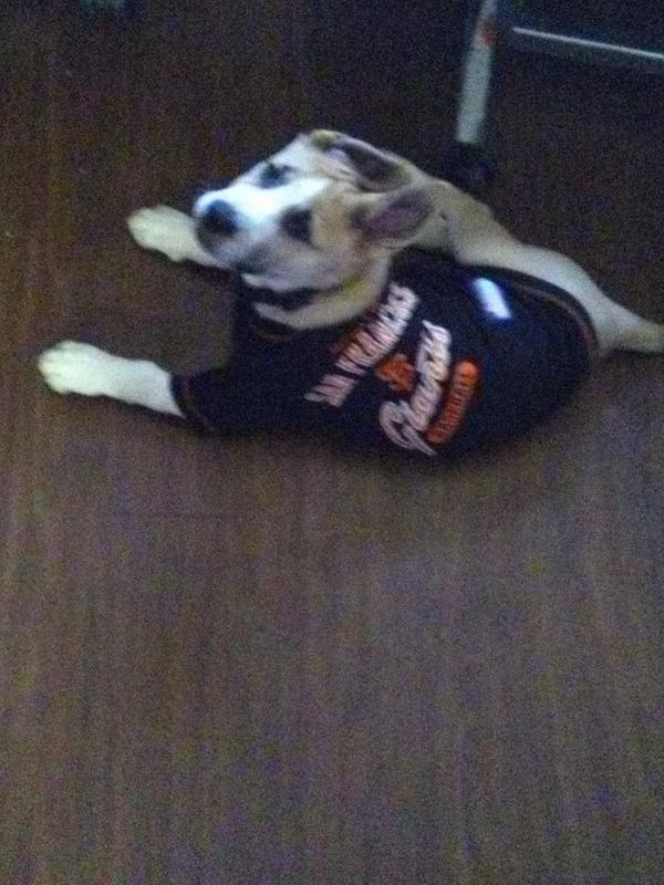 Pets First MLB SAN Diego Padres Dog Jersey, Small. - Pro Team