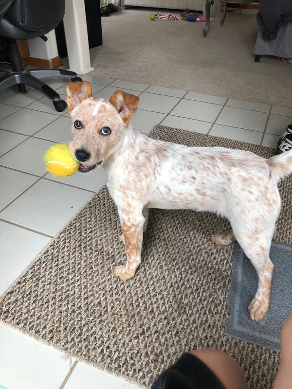 Play time!