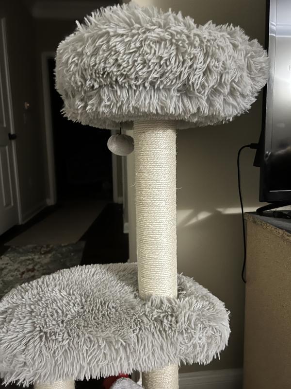 Cat bed at the top