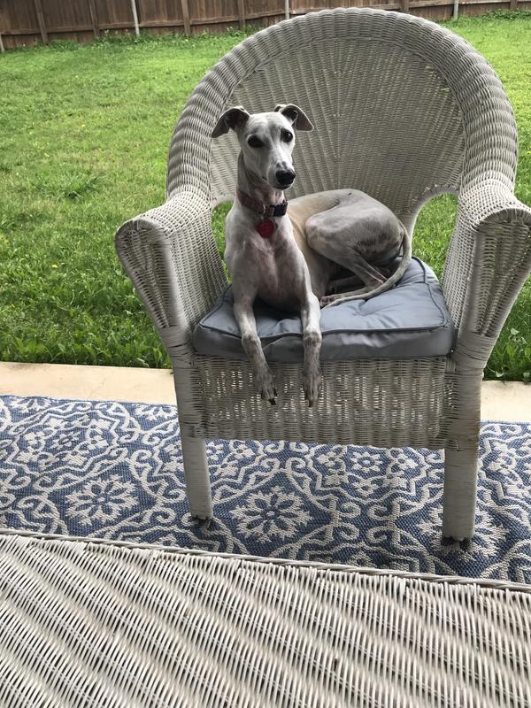 Princess Sophie