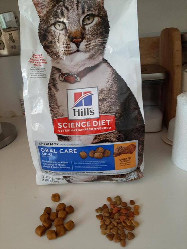 hill's science diet oral care cat food