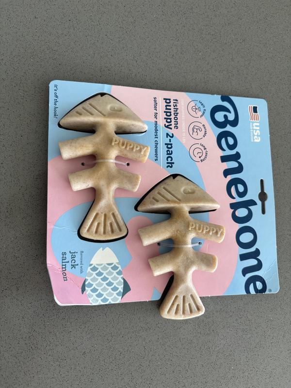 New bones before being chewed