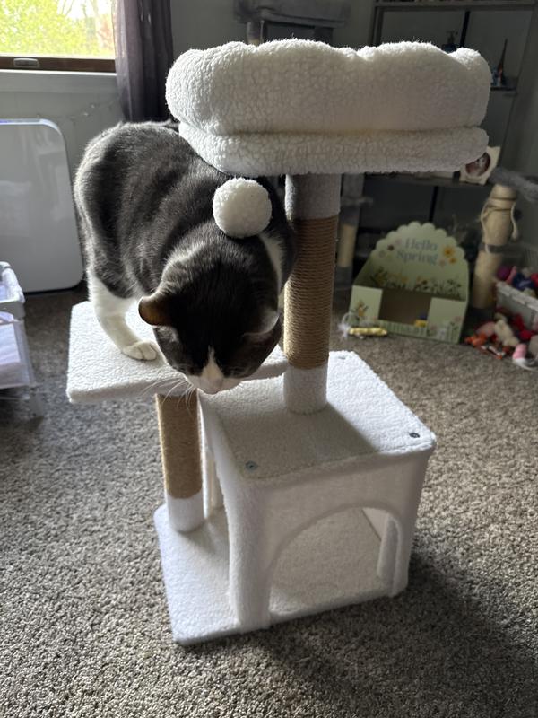 Kitty Approved