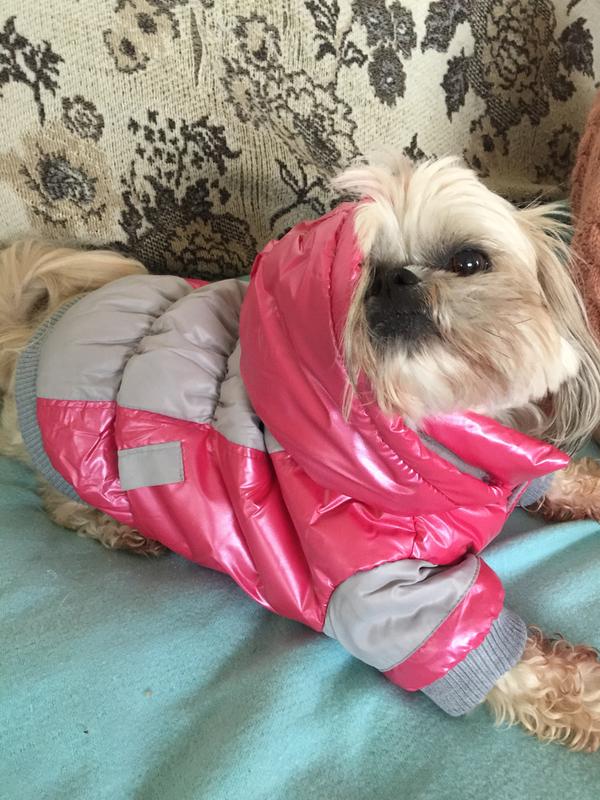SMALL DOG - Snowboarder Doggy Jacket Red main image 0