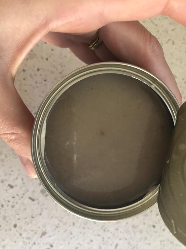 No solid food