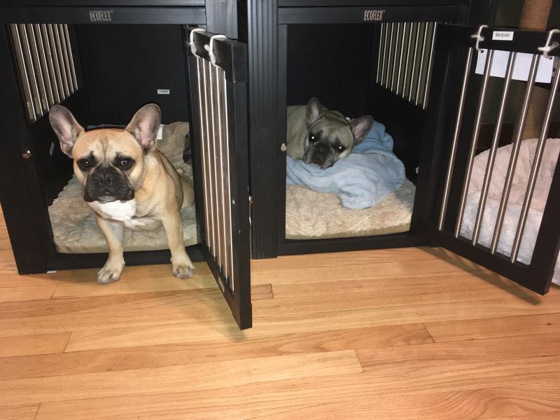 Ecoflex dog kennel outlet review