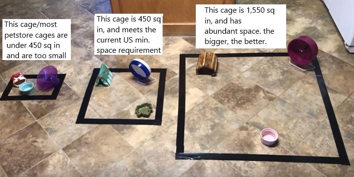 This shows cage size comparisons between the cage for sale by Petco, and the recommended cage sizes based on minimum space requirements.