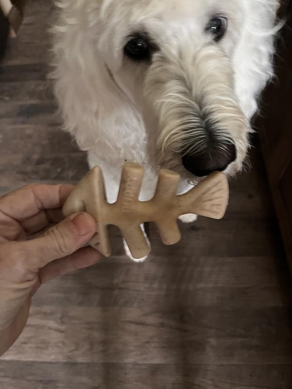 Great size for a 70 lb. dog!