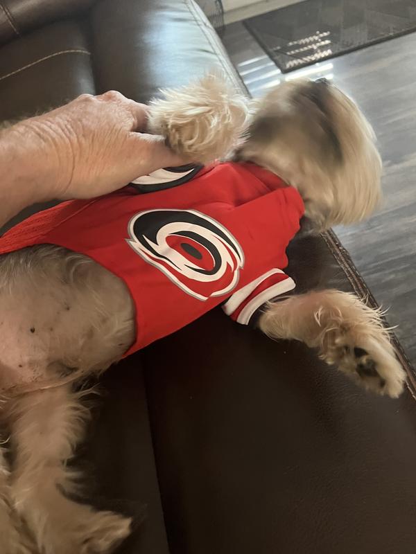 NHL Carolina Hurricanes Small Dog Jersey