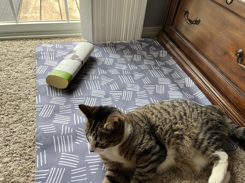 So Phresh Waterproof Cat Litter Mat & Modern Design 32"x26.77"