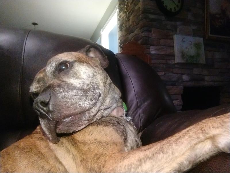I say mom loves me best...