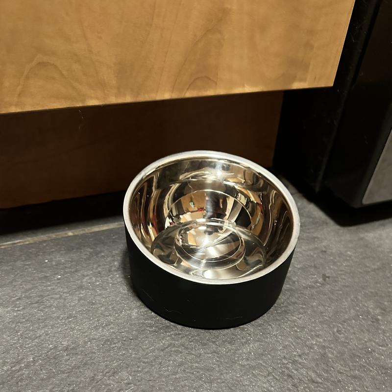 Reddy Slanted Stainless-Steel Slanted Dog Bowl, 1 Cup