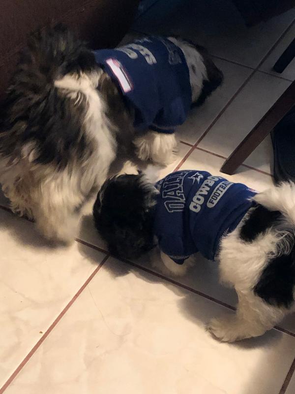 Pets First Philadelphia Eagles Stripe Small Dog T-Shirt | Petco