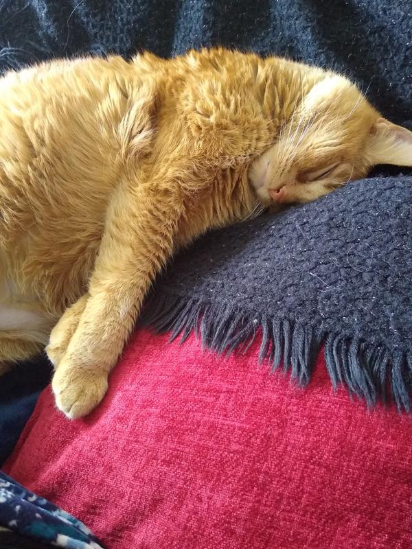happy kat