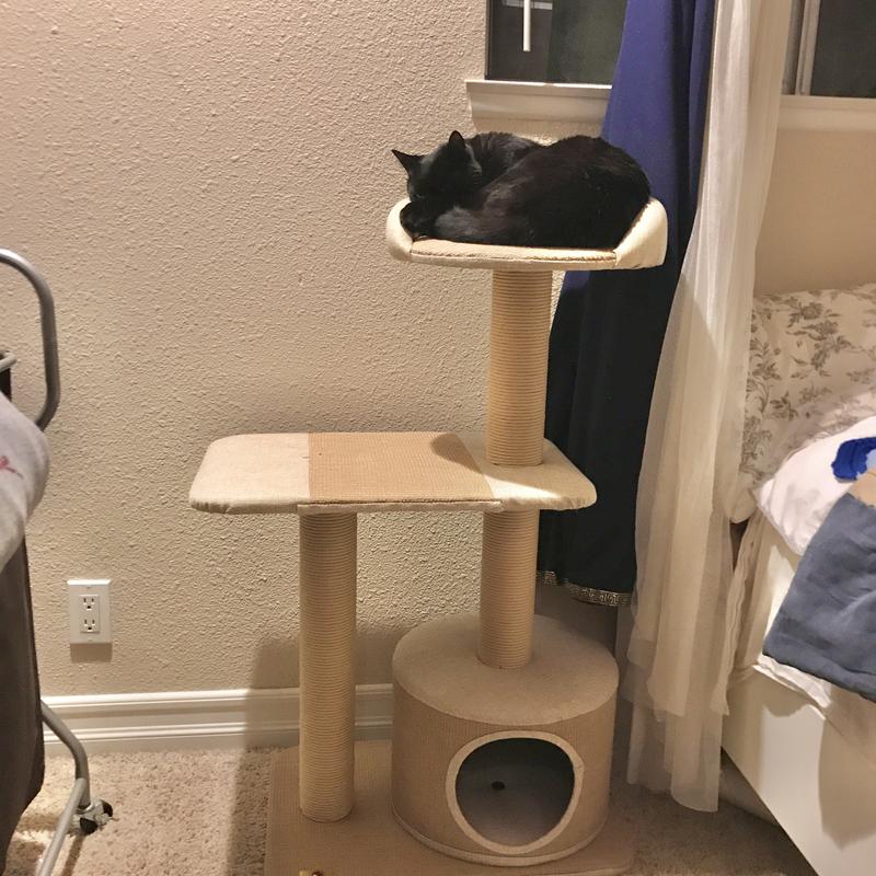 Petpals Group 3 Level Playhouse Condo Cat Tree 39 H Petco