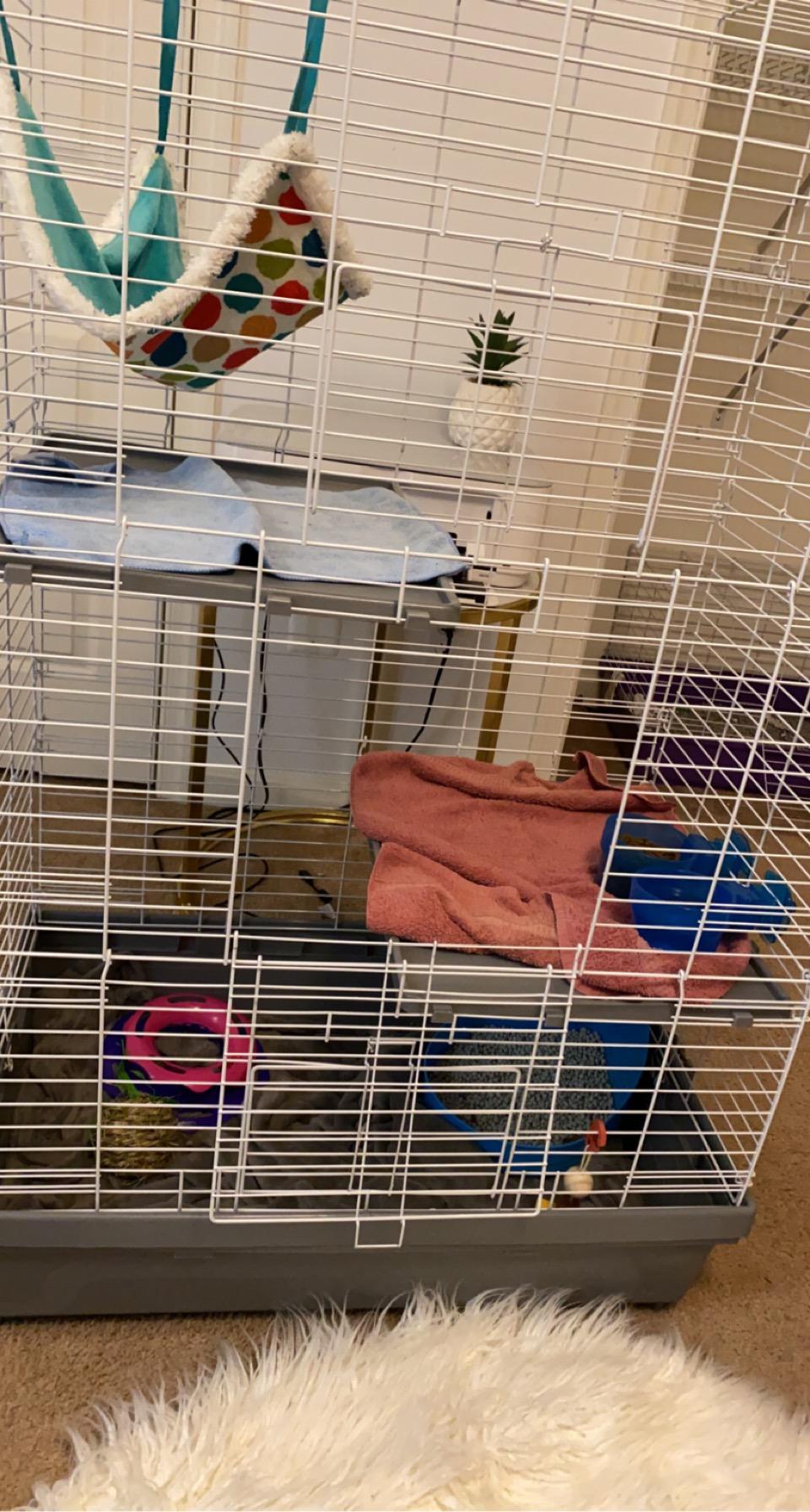 Kaytee Solid Floor Ferret Habitat Kaytee Solid Floor Ferret Habitat