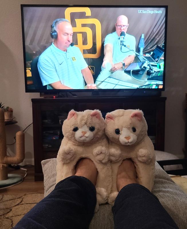Shoutout to Don Orsillo and Mark Grant, San Diego Padre announcers!