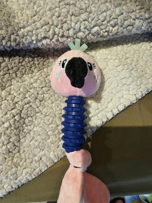 Fun New Toy!