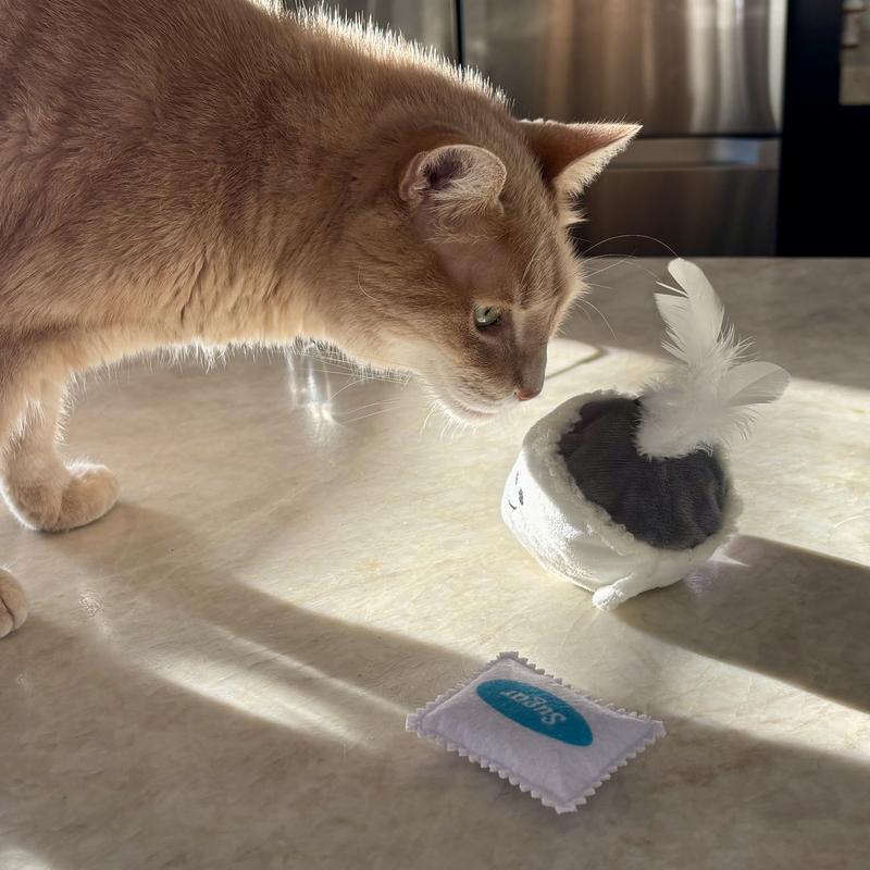 Big boy making sure his new toy get the approval.