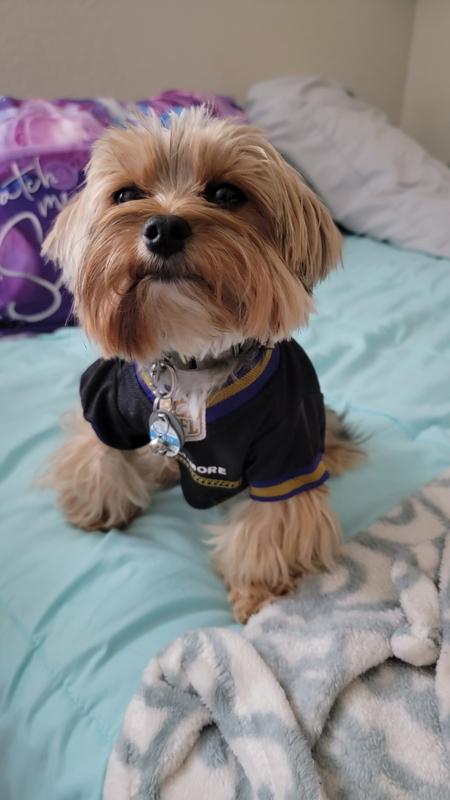  NFL Baltimore Ravens Dog Jersey, Size: X-Small. Best Football  Jersey Costume for Dogs & Cats. Licensed Jersey Shirt. : Sports Fan Pet T  Shirts : Sports & Outdoors