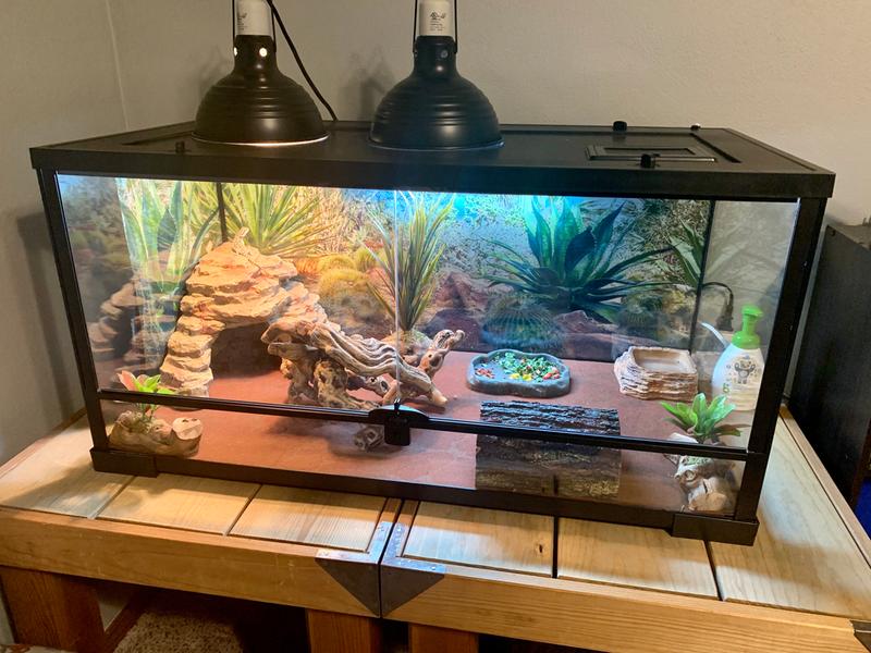 Snake Discovery – 40 Gallon Tank Reptile Décor Kit