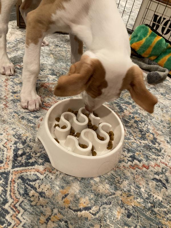 EveryYay Take it Slow White Slow Feeder Pet Bowl, 2.5 Cups