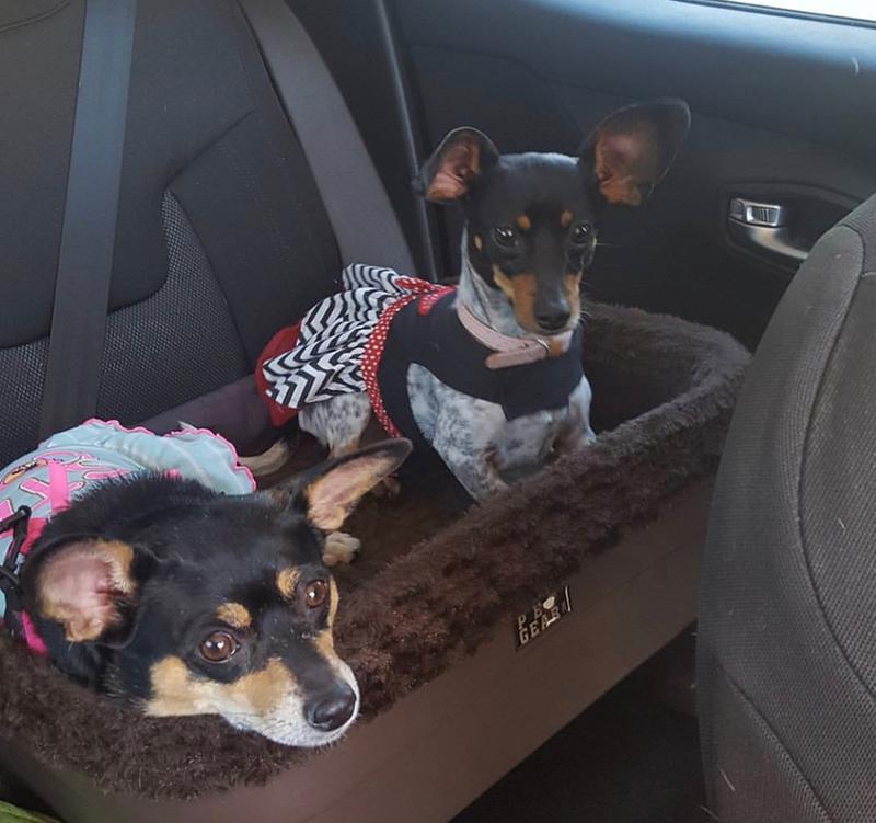 Sadie Linn shares he car seat with her bestie, Sofie.