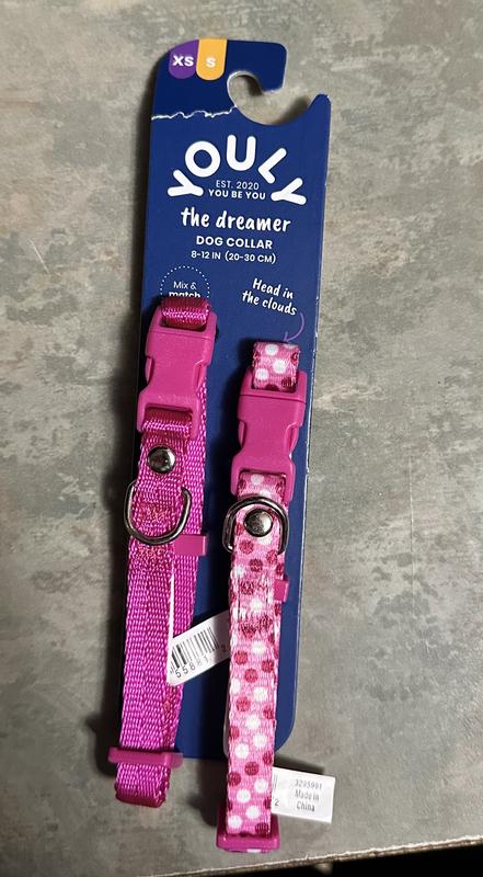 Pizza Dog Collar – Pink House Pups