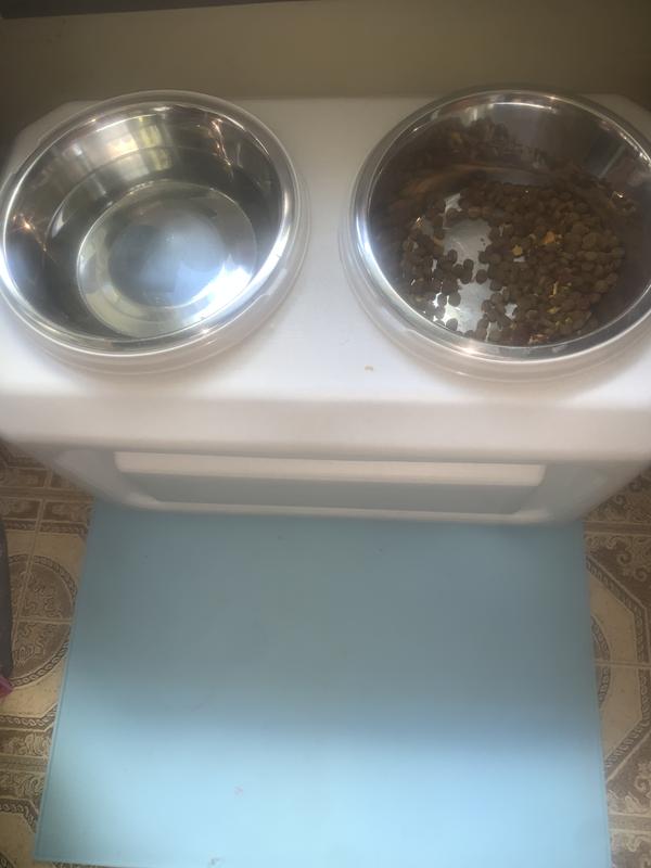 Scoobies new dish set and food contIner
