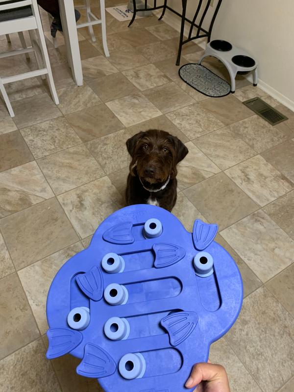 Excited for the puzzle