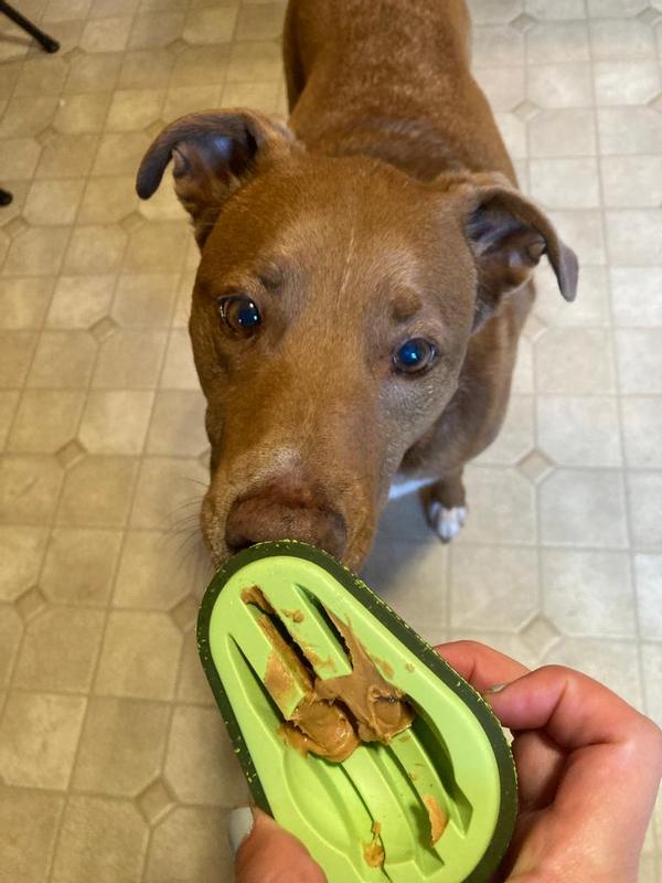 Chewia Avocado Dog Treat-dispensing Toy