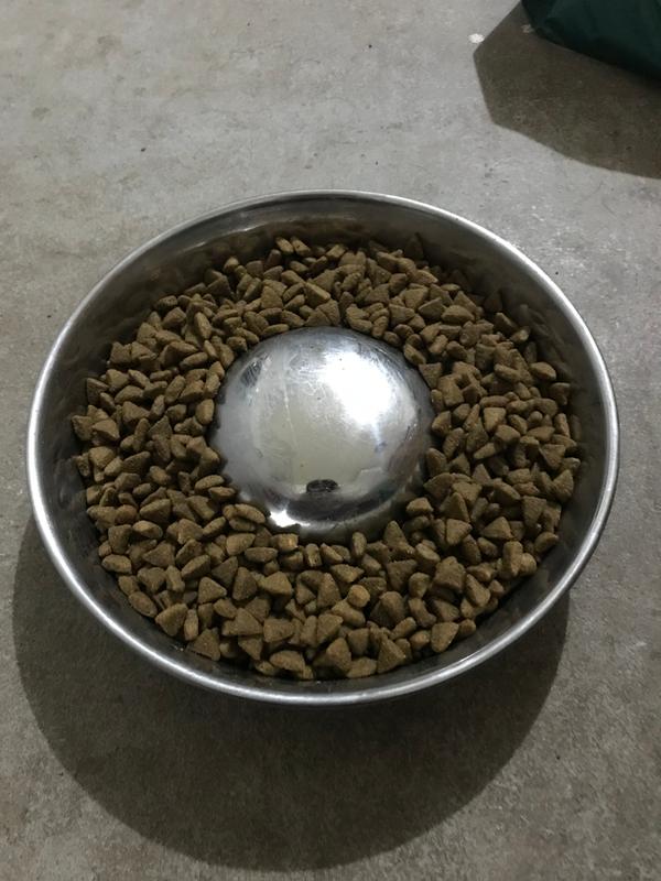 stainless steel slow feeder bowl