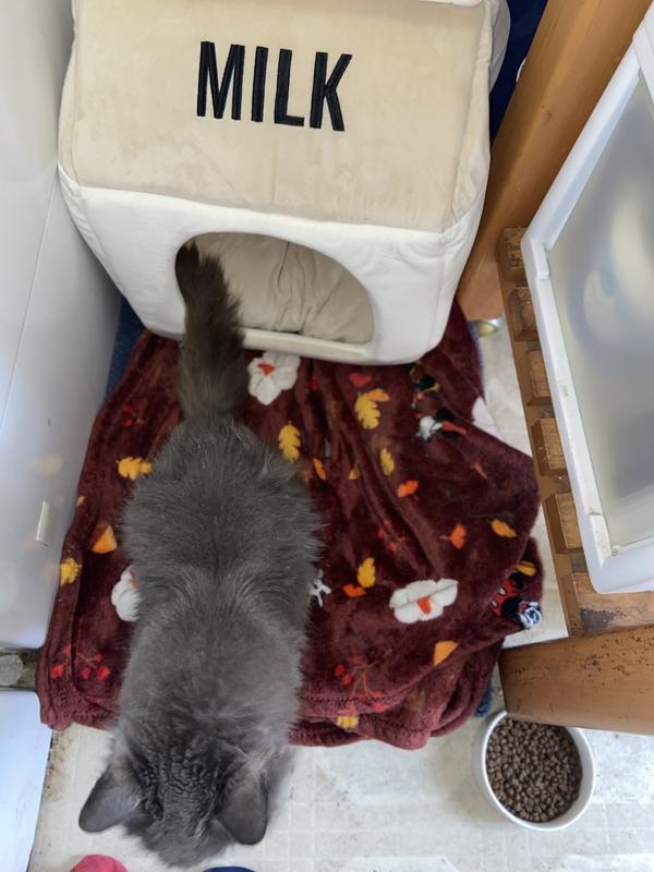 Perfect size for her little bedroom area