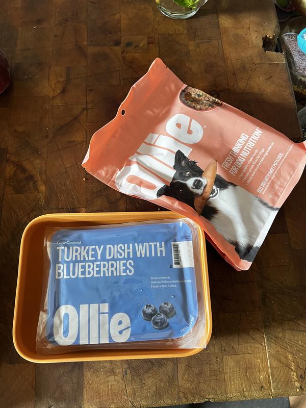 Ollie Fresh Beef Dish with Sweet Potatoes Fresh Frozen Dog Food 5 lbs. Petco