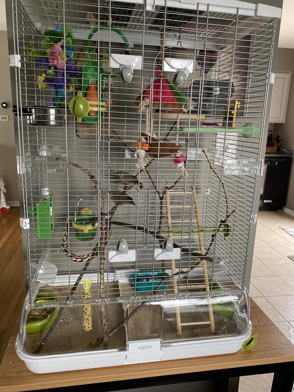 Full cage setup