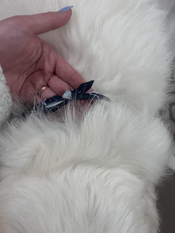 After tying the bandana there is still some room so it's not too tight on my 120 pound dog.