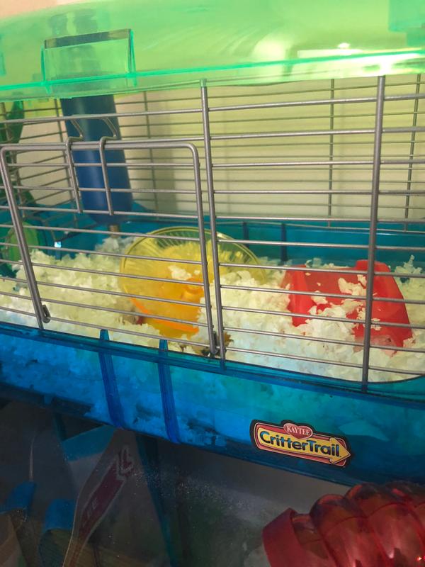 She hasn’t covered it with bedding, that means she likes it