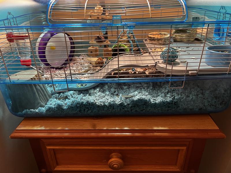 Kaytee large hamster outlet cage