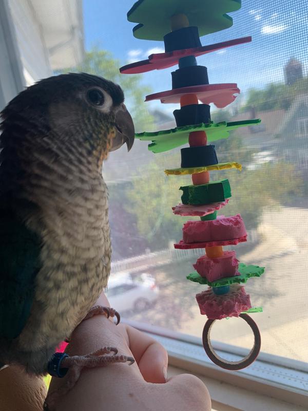 Proud of her destruction