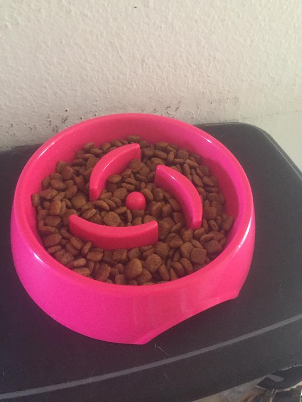 Harmony Pink Plastic Slow Feeder Dog Bowl Small Petco