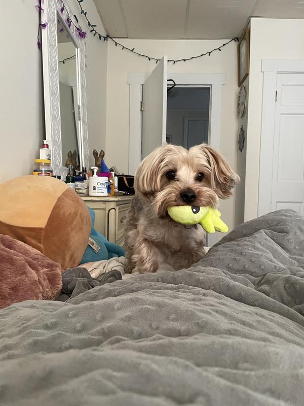 Jack playing with the alien