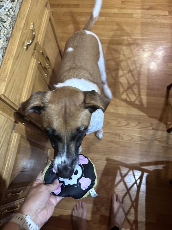 Photo - commentaire&nbsp;4.