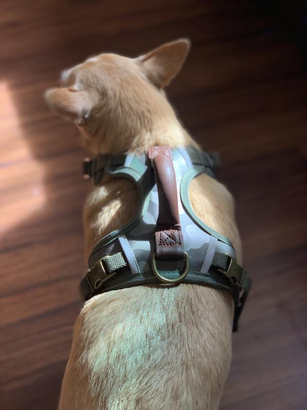 functional and shiek leather handle