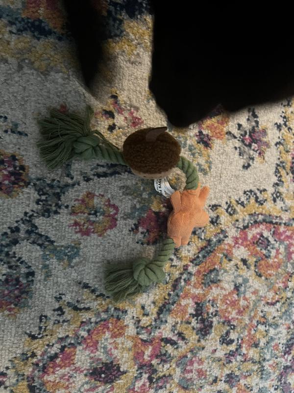 Photo - commentaire 1.