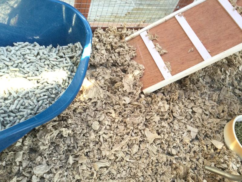 Kaytee Clean & Cozy Small Animal Bedding - Natural Paper Bedding Expands To 49.2 Liters