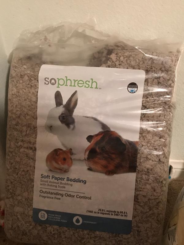 Bedding