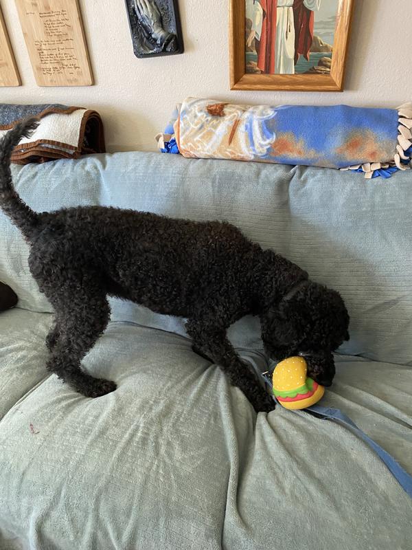 Full on play time!
